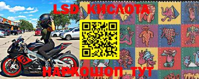 стафф Будённовск