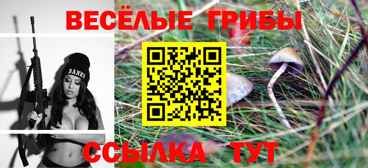 Галлюциногенные грибы Cubensis  Вход с VPN  Котлас  Псилоцибиновые грибы MAGIC MUSHROOMS 