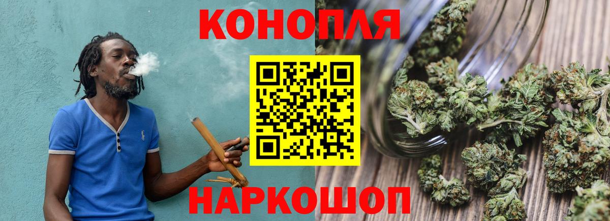 Марихуана сатива Котлас